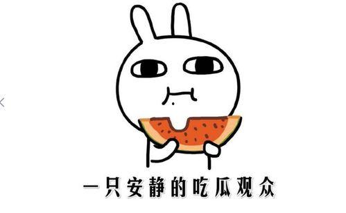 暴走吃瓜免费观看入口,畅享热门综艺,轻松解锁快乐时光 第3张 暴走吃瓜免费观看入口,畅享热门综艺,轻松解锁快乐时光 第3张