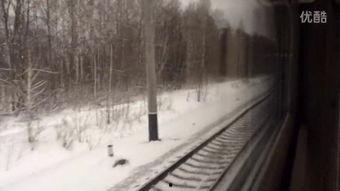 雪国列车 在线观看,末世列车生存之旅